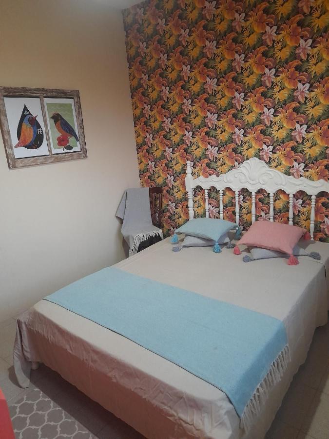 Katsbarnea Hostel Florianópolis Buitenkant foto